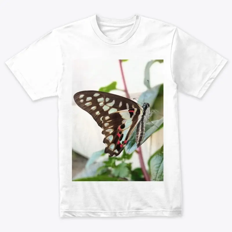 Butterfly design 