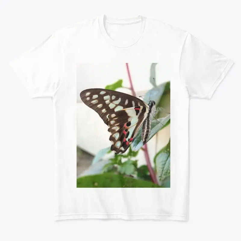 Butterfly design 