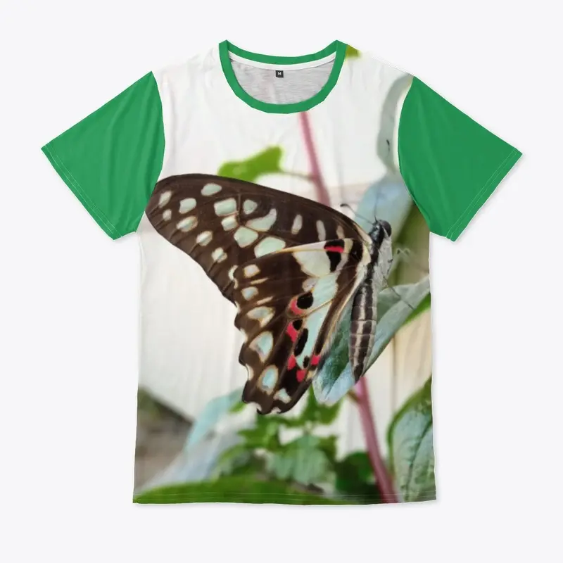 Butterfly design 