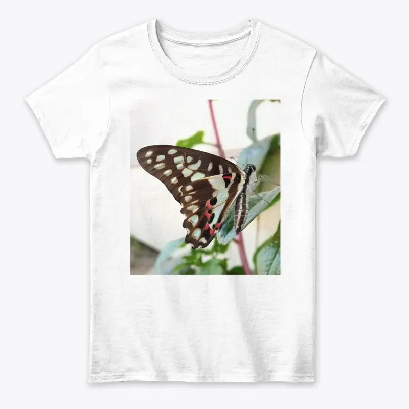 Butterfly design 