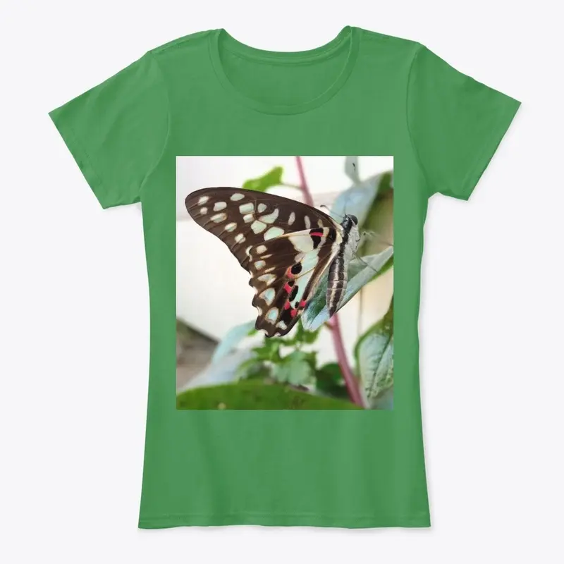 Butterfly design 