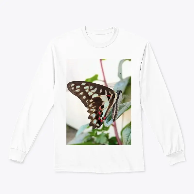 Butterfly design 