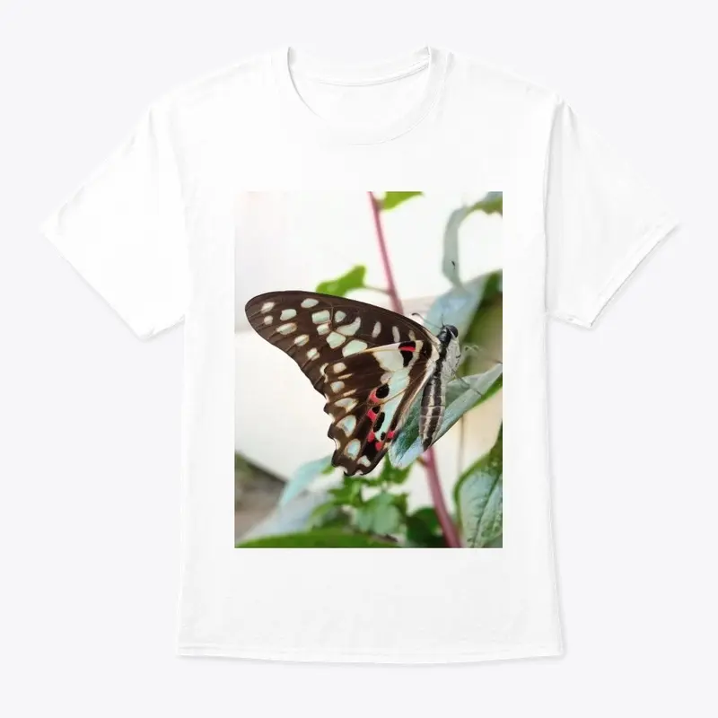 Butterfly design 